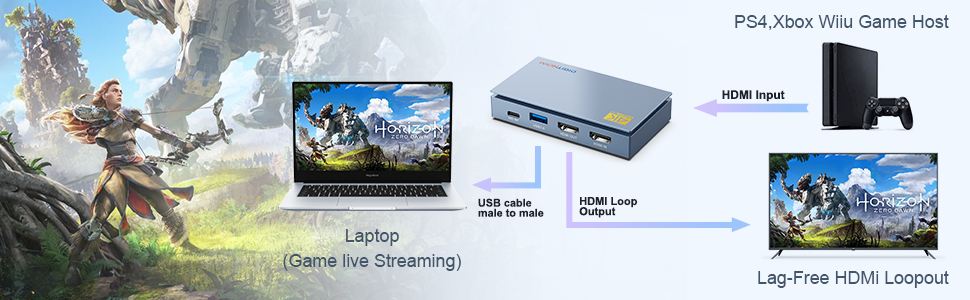 Capture Card 1080p 60fps, 4K HDMI Video Game Capture Card to USB/Type-C  with Microphone & HDMI Loop-Out, Low Latency Record Broadcast Live  Streaming Compatible with Nintendo Switch/PS4/PS5/Xbox One 